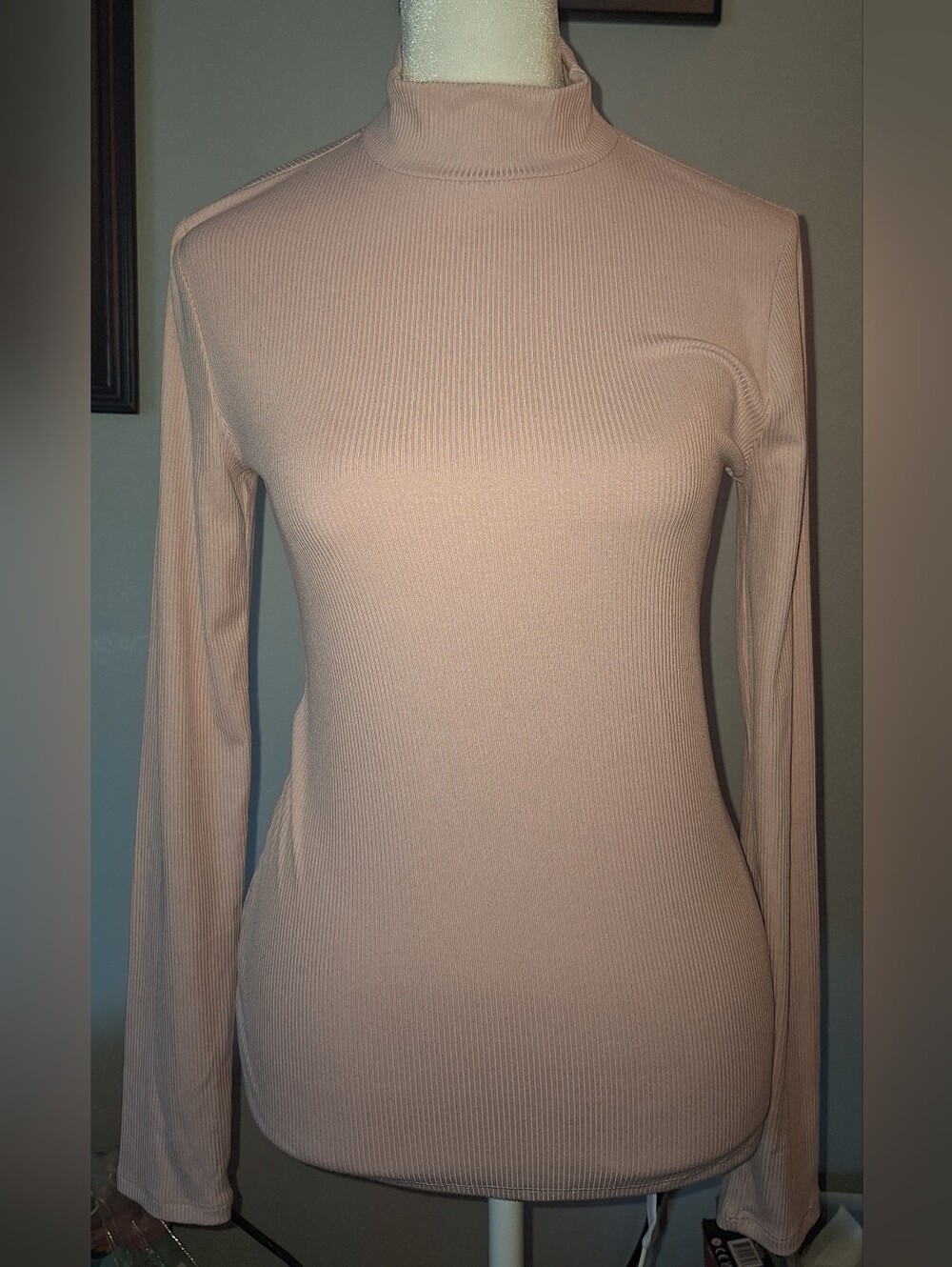 Light Pink Turtleneck